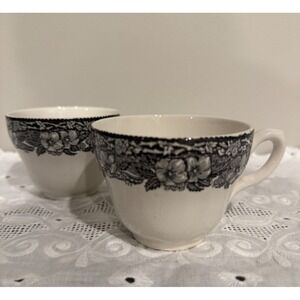 Vintage Enoch Wedgwood Teacups Malverne Pattern Transferware